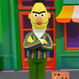 NECA Sesame Street Toony Classics Bert