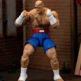 Street Fighter Sagat