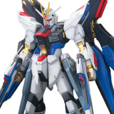 Mobile Suit Gundam MG ZGMF-X20A Strike Freedom Gundam Full Burst Mode