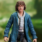 Diamond Select Lord of the Rings Series 7 Pippin