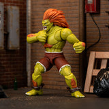 Street Fighter Blanka