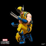 Marvel Legends Series Exclusive Wolverine (Battle Damaged)