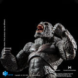 Hiya Toys Exquisite Basic Series Godzilla vs Kong King Kong