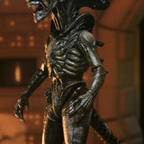 NECA Alien Earth Ultimate Wendy's Xenomorph