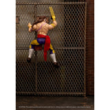 Street Fighter Vega
