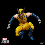 Marvel Legends Series Exclusive Wolverine (Battle Damaged)