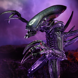 NECA Alien vs. Predator Razor Claws (Movie Deco)