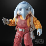 Star Wars Black Series Neel (At Attin) (SKELETON CREW)