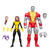 Marvel Legends Series Astonishing X-Men Kitty Pryde & Colossus 2-Pack - Action Figures