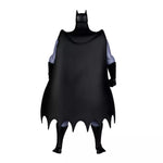 DC Direct Batman: The Animated Series Wave 7 Batman (Clock King BAF) - Action Figures