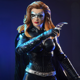 DC Multiverse Theatrical Deluxe Batgirl (Batman & Robin)