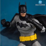 DC Multiverse Batman (The World - Paris)