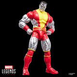 Marvel Legends Series Astonishing X-Men Kitty Pryde & Colossus 2-Pack - Action Figures
