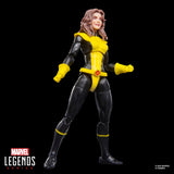 Marvel Legends Series Astonishing X-Men Kitty Pryde & Colossus 2-Pack - Action Figures