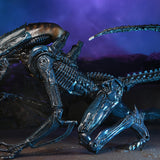 NECA Alien vs. Predator Arachnoid (Movie Deco)