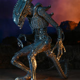 NECA Alien vs. Predator Arachnoid (Movie Deco)