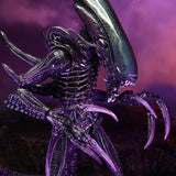 NECA Alien vs. Predator Razor Claws (Movie Deco)