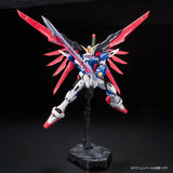 Mobile Suit Gundam RG ZGMF-X42S Destiny