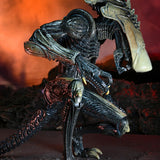 NECA Alien vs. Predator Chrysalis (Movie Deco)