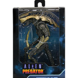 NECA Alien vs. Predator Chrysalis (Movie Deco)