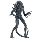 NECA Ultimate Aliens Warrior (Blue)