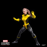 Marvel Legends Series Astonishing X-Men Kitty Pryde & Colossus 2-Pack - Action Figures