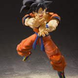 S.H.Figuarts Dragon Ball Z Goku (A Saiyan Raised On Earth)