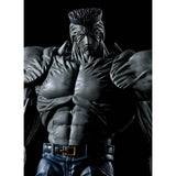 S.H. Figuarts Yu Yu Hakusho Younger Toguro (100% Version)