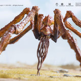 Hiya Toys Exquisite Basic Godzilla x Kong: The New Empire Scylla (Previews Exclusive)