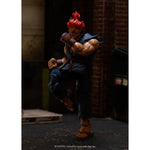 Street Fighter Akuma - Action Figures