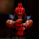 Street Fighter Akuma - Action Figures