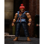 Street Fighter Akuma - Action Figures