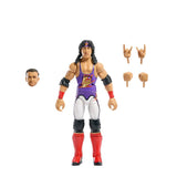 WWE Survivor Series Elite SET OF 4 (Nick Aldis BAF)