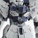 Mobile Suit Gundam MG MSN-06S Sinanju Stein Ver.KA