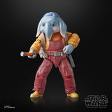 Star Wars Black Series Neel (At Attin) (SKELETON CREW)