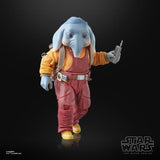 Star Wars Black Series Neel (At Attin) (SKELETON CREW)