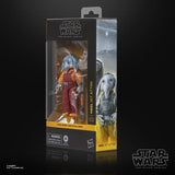 Star Wars Black Series Neel (At Attin) (SKELETON CREW)