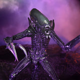 NECA Alien vs. Predator Razor Claws (Movie Deco)