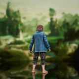 Diamond Select Lord of the Rings Series 7 Pippin
