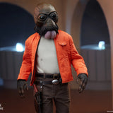 Sideshow Star Wars Scum & Villainy Ponda Baba (A New Hope / 1:6 Scale)