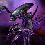NECA Alien vs. Predator Razor Claws (Movie Deco)