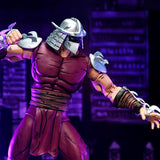NECA Teenage Mutant Ninja Turtles Mirage Worms of Madness Shredder