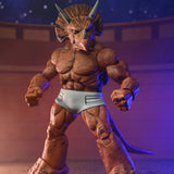 NECA Teenage Mutant Ninja Turtles Mirage Triceraton Gladiator