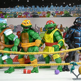 NECA Teenage Mutant Ninja Turtles Stump Wrestling Turtle 4-Pack (Archie Comics)