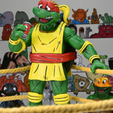NECA Teenage Mutant Ninja Turtles Stump Wrestling Turtle 4-Pack (Archie Comics)