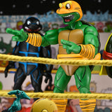 NECA Teenage Mutant Ninja Turtles Stump Wrestling Turtle 4-Pack (Archie Comics)