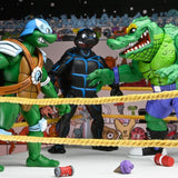NECA Teenage Mutant Ninja Turtles Stump Wrestling Turtle 4-Pack (Archie Comics)
