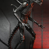 NECA Alien: Romulus Ultimate Xenomorph XX121