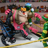 NECA Teenage Mutant Ninja Turtles Stump Wrestling Turtle 4-Pack (Archie Comics)