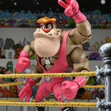 NECA Teenage Mutant Ninja Turtles Stump Wrestling Deluxe Cryin' Houn' (Archie Comics)